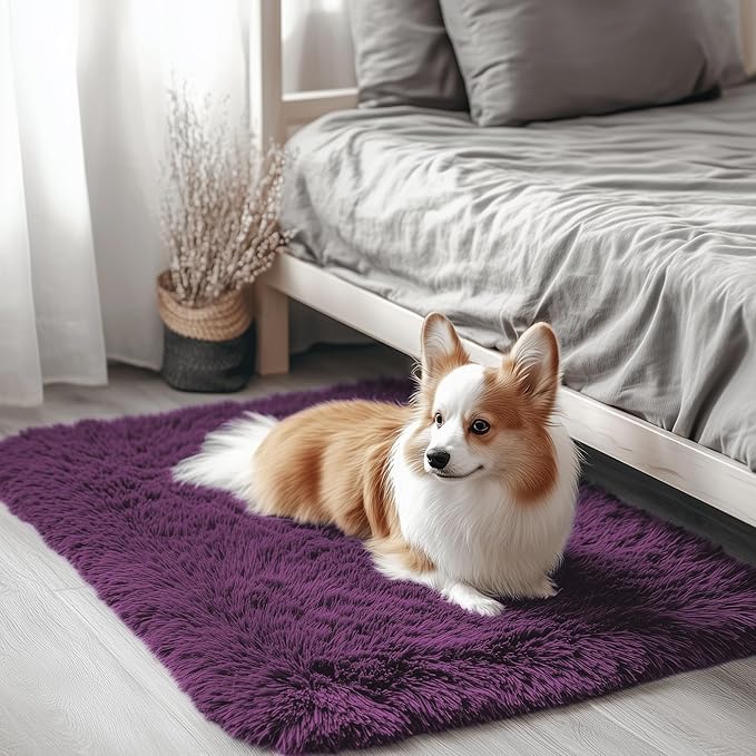 OLANLY 2x3 Machine Washable Small Bedside Rug, Soft Fluffy Shaggy Entryway Throw Rugs for Bedroom, Living Room, Indoor Floor Carpet for Kids Girls and Boys, Home Decor Aesthetic, Dark Purple