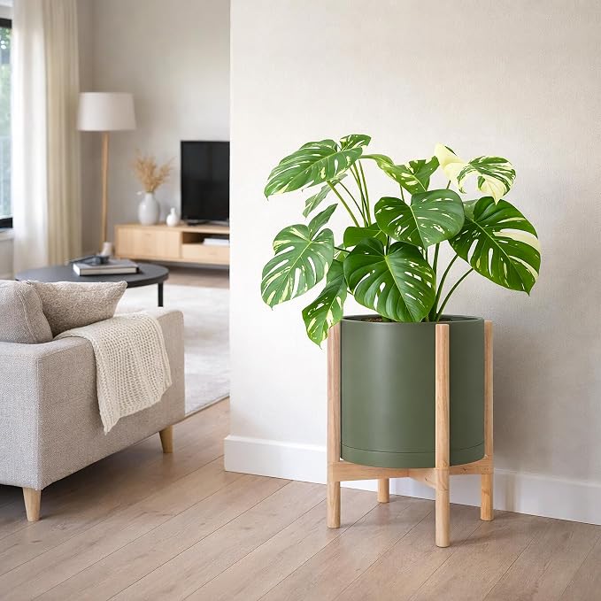 D'vine Dev Planter Pot with Stand - 14 Inch Plastic Cylinder Flower Pot with Wood Planter Holder for Indoor, Olive Pot + Natural Stand, 55-C-S-3
