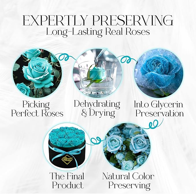 GLAMOUR BOUTIQUE Flowers Forever Gift Box 12 Real Preserved Roses in a Velvet Box, Birthday for Her Mom and Wife, Mothers Day, Anniversary, Graduation - Teal