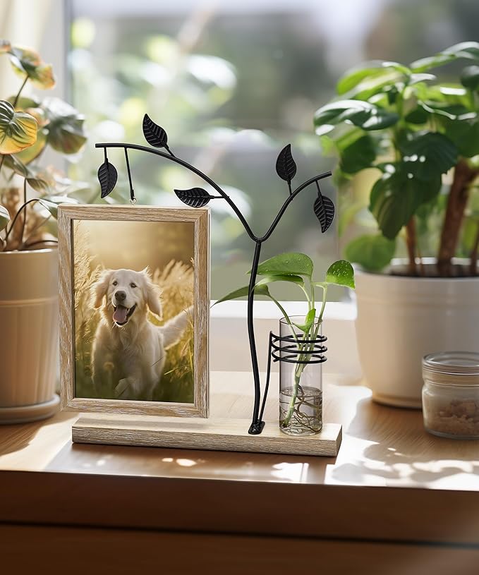 Afuly 5x7 Picture Frame with Glass Vase for Plants Flowers, Desk Picture Frames Floating Photo Frame for Office Home Decor, Unique Anniversary Mothers's Day Gifts for Grandma Mom, Light Brown