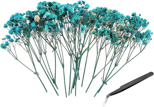 PATIKIL Mini Dried Gypsophila Flower Kit, 30Pcs 4 Inch Mist Blue Natural Pressed Floral Bundles with Tweezer for DIY Resin Crafts Gift Wedding Christmas Card Decor Flower Bouquets