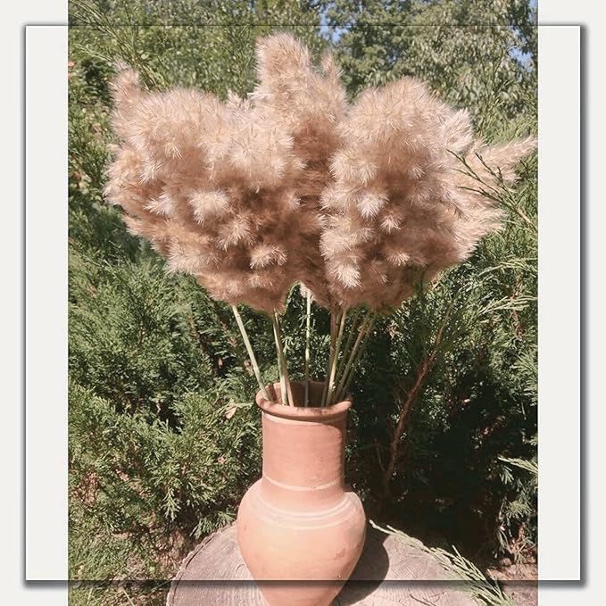 20 Pcs 27 Inch Tall Fluffy Pampas Grass XL Size Brown Dry Pompous Grass Decor Wedding Flower Boho Decor Natural Pompas Flower Bouquet (Brown, 27 inch)