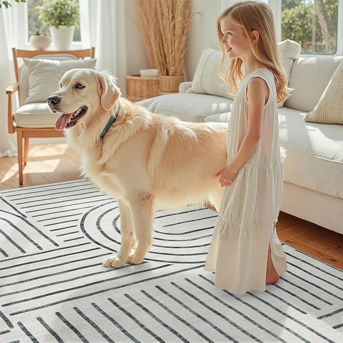 DCX Abstract Machine Washable 5x7 Rug, Gray Modern Accent Rug for Living Room, Soft Low Pile Non Slip Carpet, Kid & Pet Friendly Stain Resistant Rug for Bedroom Dining Room Office