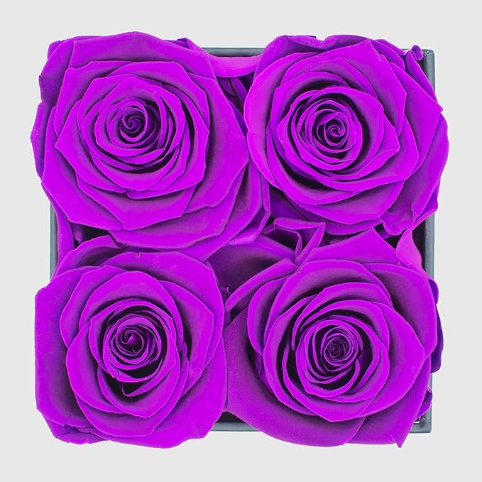 Graceful Fleurs | Real Long Lasting Roses for Years | Preserved Fresh Flowers for Delivery Birthday | Birthday Gifts for Women | Forever Roses in a Box (Purple, Black Box, 4 Roses)