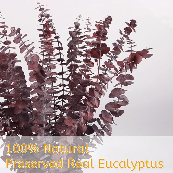 Real Dried Eucalyptus Stems, 20Pcs 17inch Red Preserved Fresh Eucalyptus Stems Plant for Home Vase Wedding Festival Floral Arrangement Fall Decoration