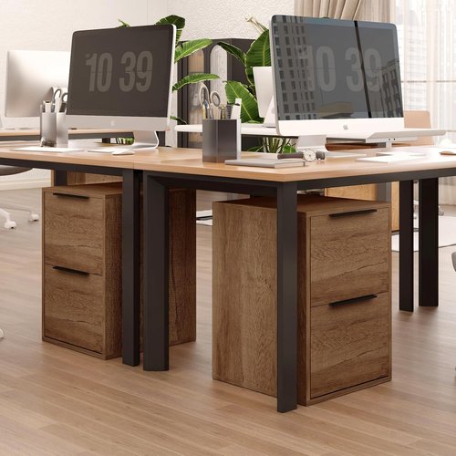 LUCYPAL 2-Drawer File Cabinet - Wood Design with Hanging Bars for Letter Size Files - Brown
