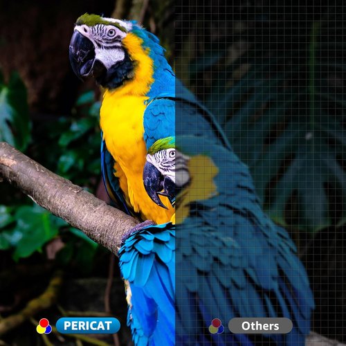 Pericat 200 ANSI 1080P HD Movie Projector - WIFI & Bluetooth | Outdoor Use with 100” Screen & Built-in 15W Speaker