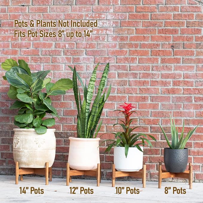 Macaw on Kapok Wood Plant Stand - Fits 8 10 12 to 14 inch Plant Pot - Acacia Solid Wood - Planter Stands for Indoor Plants - Outdoor Planter Large - Modern Plant Holder - Mid Century Plant Stand - Flower Pot Stand