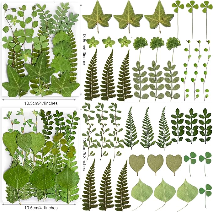 85PCS Real Dried Pressed Leaf Leaves, YouthBro Green Nature Plant Herbarium Set for DIY Jewelry Candle Soap Vase Making Nail Card Scrapbook Art Craft Floral Decors,28 Styles Green Mixed