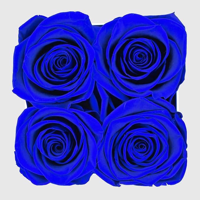 Graceful Fleurs | Real Long Lasting Roses for Years | Preserved Fresh Flowers for Delivery Birthday | Birthday Gifts for Women | Forever Roses in a Box (Blue, White Box, 4 Roses)