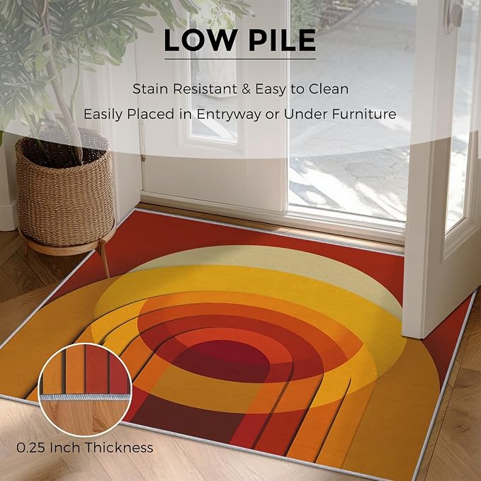 Mid Century Modern Rugs for Home Decor, 8x10 ft, Abstract Circle Area Rugs for Living Room, Soft Non Slip Washable Retro 70s Geometric Carpet Bedroom Decorations Dt-Ghf-69