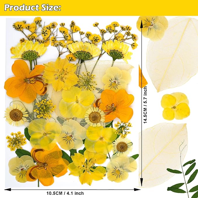30Pcs Dried Pressed Natural Flowers for Resin Molds Real Pressed Flowers Dry Leaves Bulk Natural Herbs Kit for DIY Scrapbooking Art Crafts Jewelry Molds Candle Soap Making Nails Decor (Yellow)
