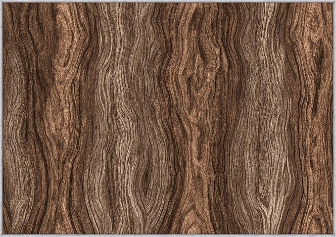 Wood Grain Rustic Area Rug, Vintage Brown Texture Pattern Carpet, Washable Non Slip Low Pile Soft Thin, Living Room Bedroom Home Decor Mat 5x8ft