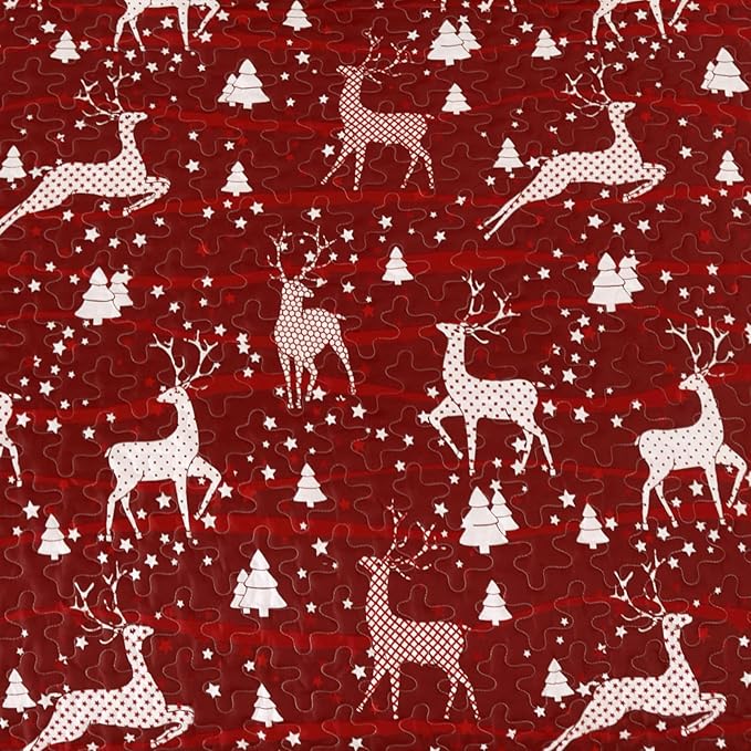 Dinjoy Christmas Quilt Set Queen Size, Christmas Holiday Quilt Bedding Set Xmas New Year Bedspread Soft Microfiber 3 Pieces Coverlet for Kid Adult 90"x90" New Year Gift