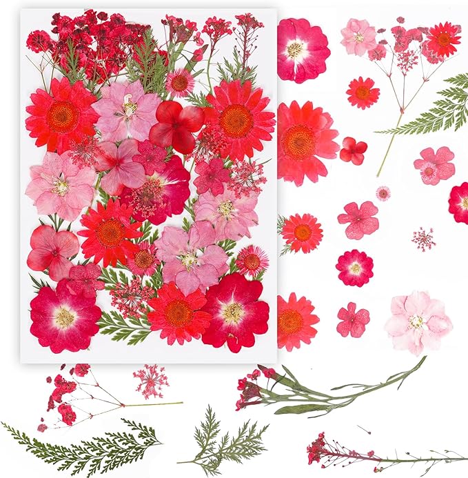 37Pcs Red Dried Pressed Flowers Natural Dried Flowers for Resin,Real Pressed Flowers for Crafts,Dry Flowers for Resin Molds DIY Scrapbookin Candle Jewellery Making