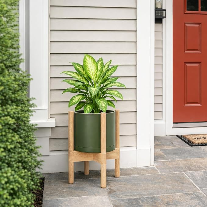 D'vine Dev Planter Pot with Stand - 8 Inch Plastic Cylinder Flower Pot with Wood Planter Holder for Indoor, Olive Pot + Natural Stand, 55-C-J-3
