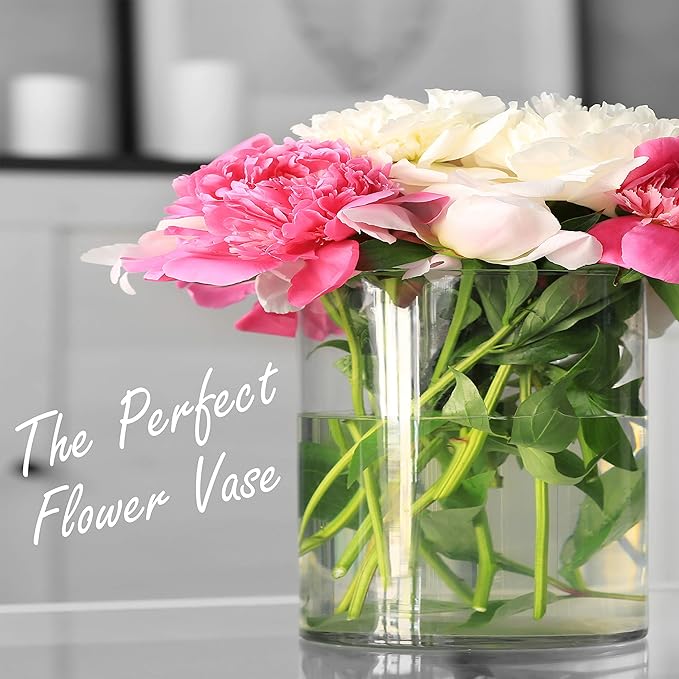 CYS EXCEL Cylinder Clear Glass Vase (H:5.9" D:5.9") | Multiple Size Choices Glass Flower Vase Centerpieces | Hurricane Floating Candle Holder Vase