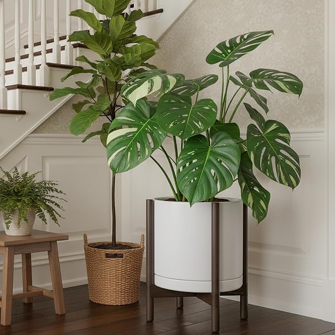 D'vine Dev Ceramic Planter with Walnut Color Stand - 14 Inch Modern Round Flower Pot with Wood Planter Holder, White, 55-B-T-1