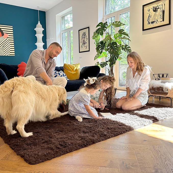 OLANLY 4x5 Machine Washable Accent Rug, Soft Fluffy Shaggy Area Rug for Bedroom, Living Room, Indoor Floor Carpet for Kids, Nursery, Home Decor, Coffee
