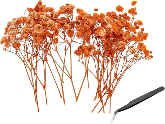 PATIKIL Mini Dried Gypsophila Flower Kit, 30Pcs 4 Inch Orange Natural Pressed Floral Bundles with Tweezer for DIY Resin Crafts Gift Wedding Christmas Card Decor Flower Bouquets