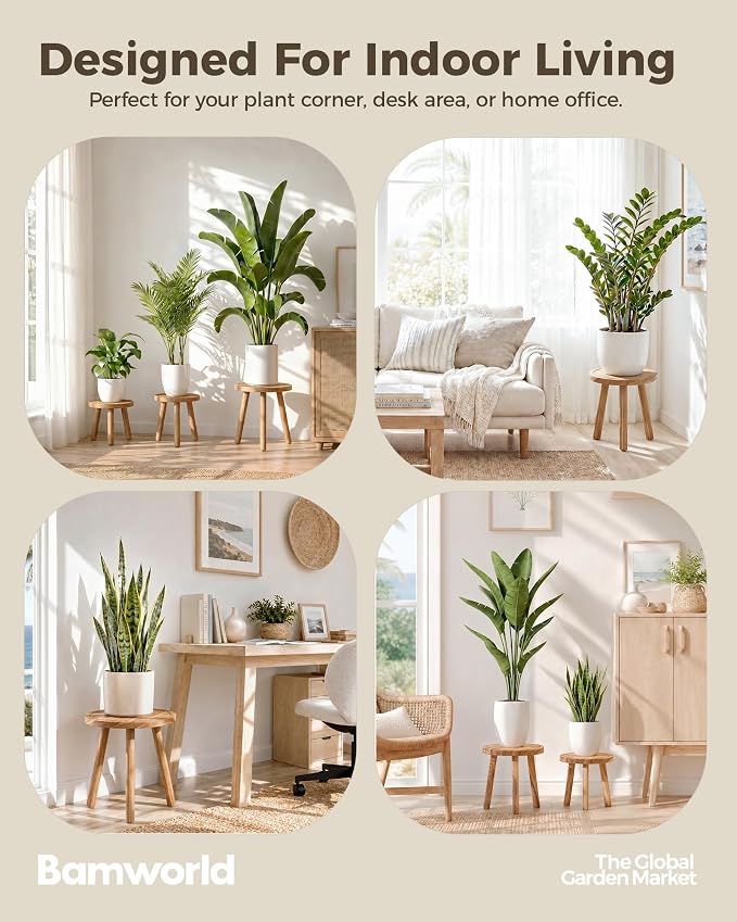 Bamworld 3 Pack Plant Stand Indoor Single Plant Stand for Multiple Plants Corner Plant Stool Wooden Plant Stands for Patio Garden Balcony Living Room Bedroom(Nature)