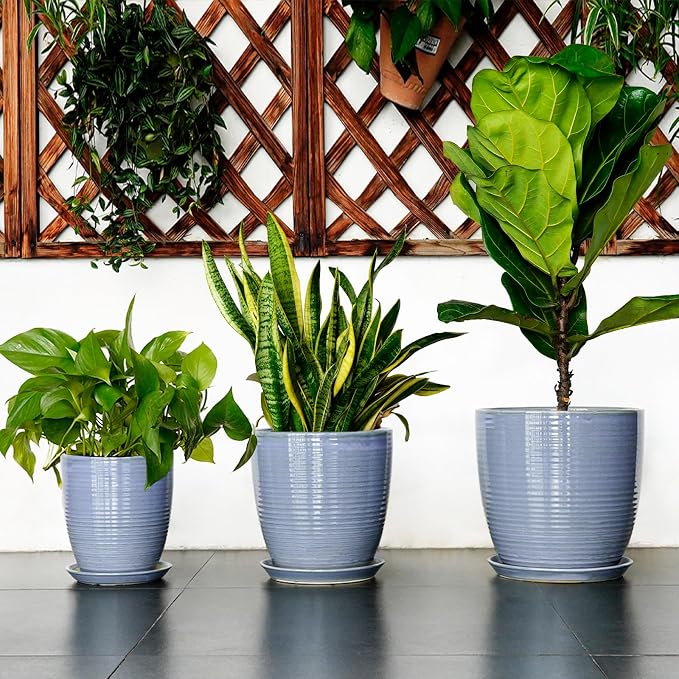 Ceramic Planter - Modern Round 12 Inch Pots for Plants with Drainage Hole and Plant Saucer for Flower Indoor, Garden Room Home Office House Decor, House Warming Gifts, Blue-Purple