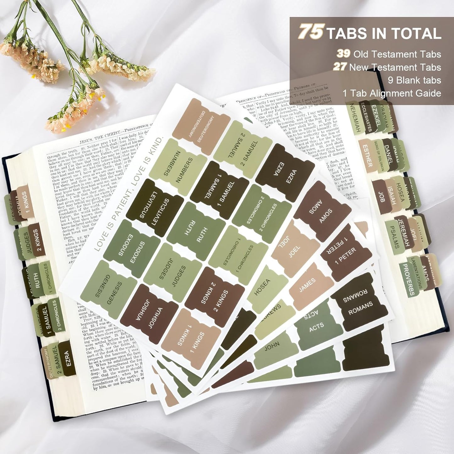 Skiennix Bible Tabs - Laminated Boho Theme Indexing Tabs for Easy Navigation - Matcha Color