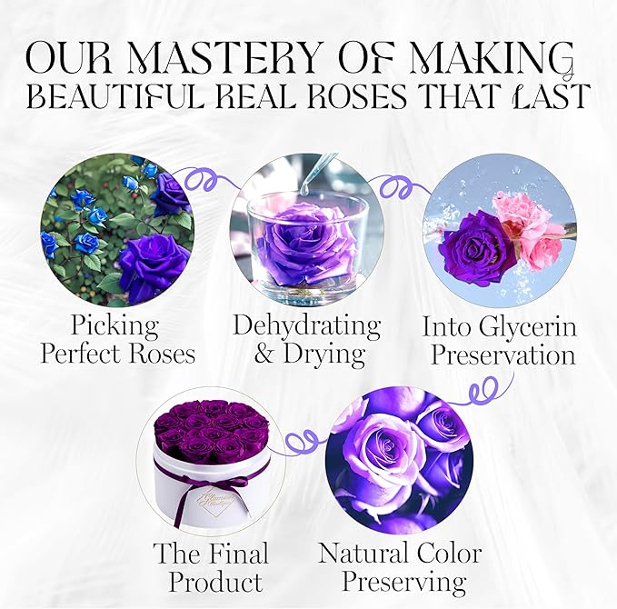 GLAMOUR BOUTIQUE Flower Forever Gift Box 12 Real Preserved Roses in Round Velvet White Box, Handmade, Rose Petals, Birthday, Marriage, Anniversary, Graduation - Purple