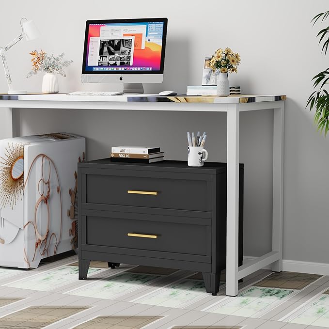 24.8" Tall Metal Dresser for Bedroom, 2 Drawer Nightstand, Side Table, Under Desk Steel Storage Drawer Cabinet, File Drawer for Home Office,Living Room, Entryway, Hallway