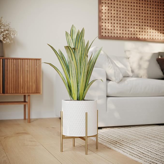 EverNest Claire Mid-Century Modern White Planter and Stand, Indoor Plant Pot, SelectBase, Minimalist Aesthetic, Home Decor for Plants - (Gold Base, Medium)