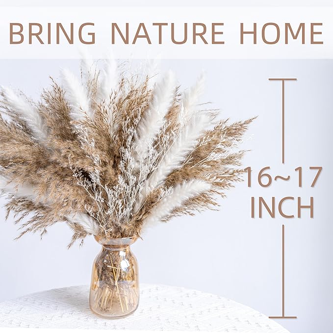 WILD AUTUMN Fluffy Boho Decor Dried Grass - Dried Pampas Grass Short pompas Grass Vase Filler Dried Flowers Wedding Home Table Rustic Farmhouse Decor