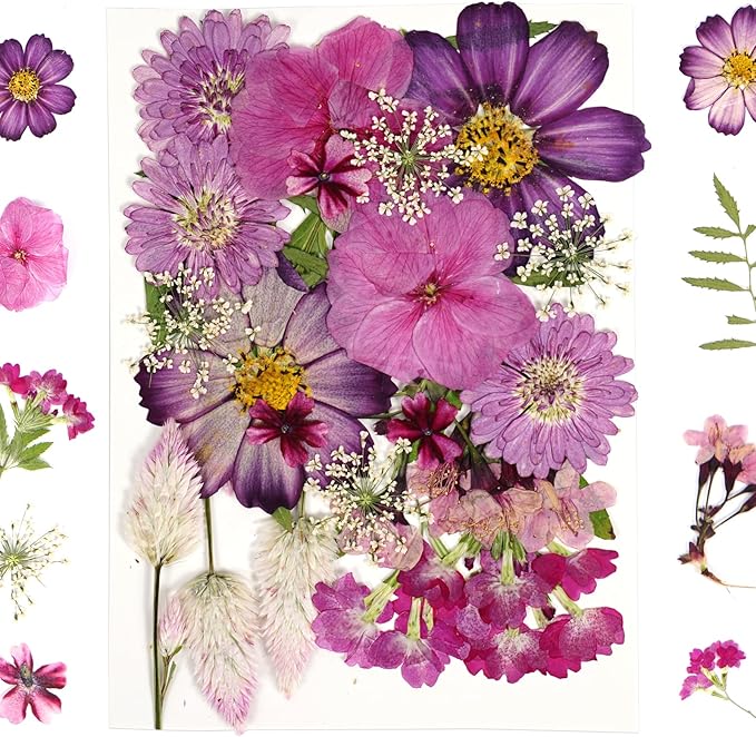 Purple Dried Pressed Flowers Bulk Dried Flowers for Crafts, Real Natural Bulk Dry Flowers for Resin Molds ,for Scrapbooking DIY Candle Soap ewellery Making Gifts