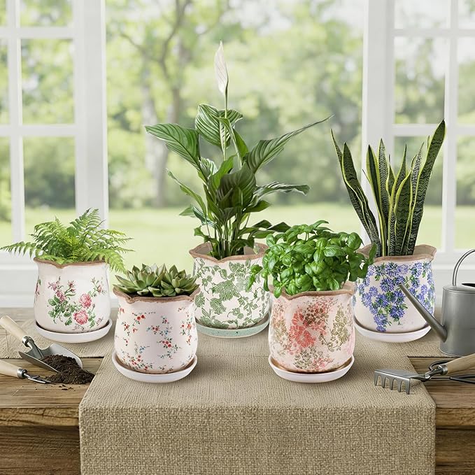 Ceramic-Planters-for-Indoor-Plants with Saucer, 6 inch Vintage Ice Crackle Glaze Plant Pots with Drainage Holes, Decorative Flower Pots for Outdoor Garden Home Decor, Tuscan Pot for Plant