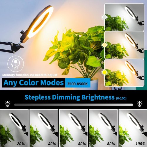 KIRKAS 12X Magnifying Glass with Light - 2-in-1 Desk Lamp with Stepless Brightness & Clamp