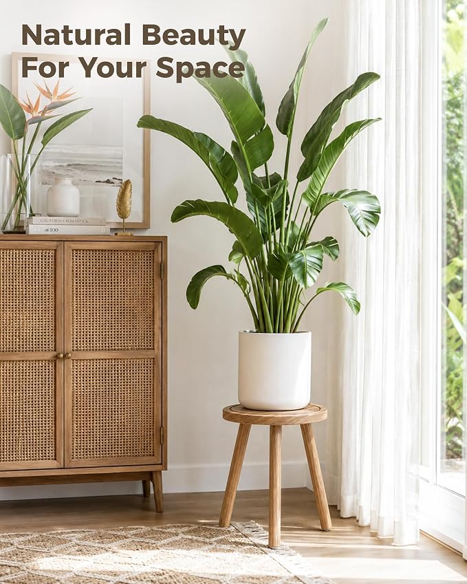 Bamworld 3 Pack Plant Stand Indoor Single Plant Stand for Multiple Plants Corner Plant Stool Wooden Plant Stands for Patio Garden Balcony Living Room Bedroom(Nature)