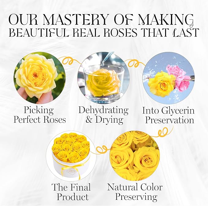 GLAMOUR BOUTIQUE Flower Forever Gift Box 12 Real Preserved Roses in Round Velvet White Box, Handmade, Rose Petals, Birthday, Marriage, Anniversary, Graduation - Yellow
