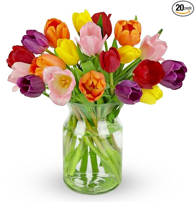 Benchmark Bouquets - 20 Stem Rainbow Tulips (Glass Vase Included) - Fresh Flowers for Delivery - Gift for Birthday, Anniversary, Sympathy, Get Well, Congratulations, Thanksgiving, Christmas