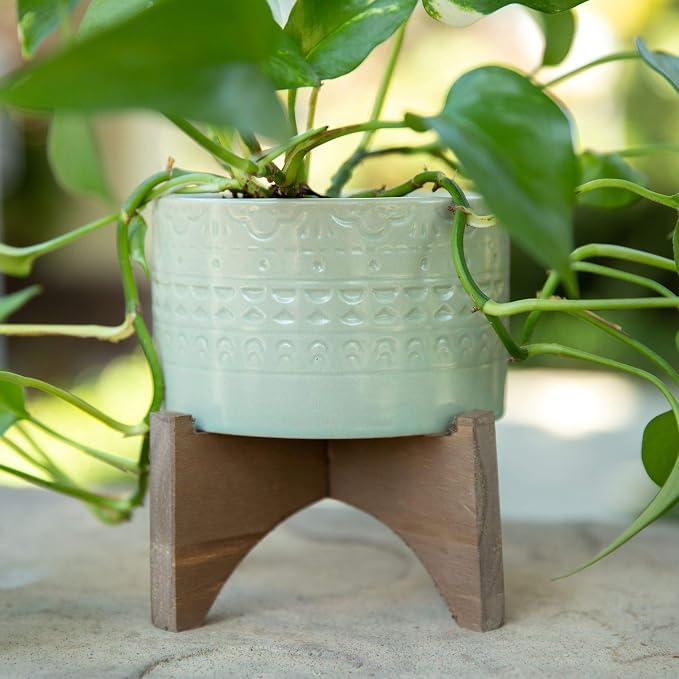 Flora Bunda 5 Inch Mayan Ceramic Planter on Wood Stand Mid Century,Matte Sage 5"