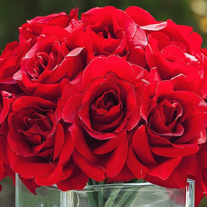ENOVA FLORAL 18 Pieces Red Rose Artificial Flowers in Vase, Floral Arrangements Artificial with Vase and Faux Water for Wedding, Home Decor Indoor(Red)