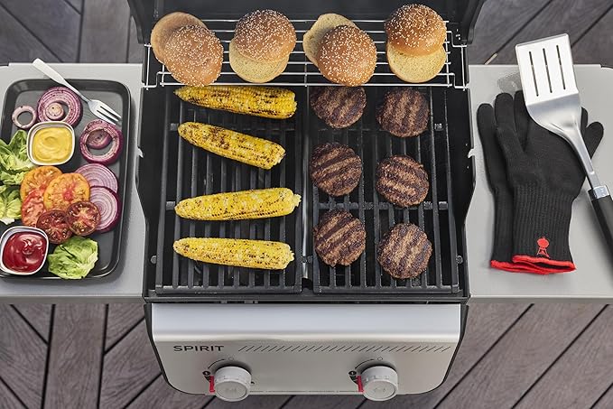 Weber Spirit E-210 Liquid Propane Gas Grill for Outdoor Cooking and BBQ, 2 Burners, Black
