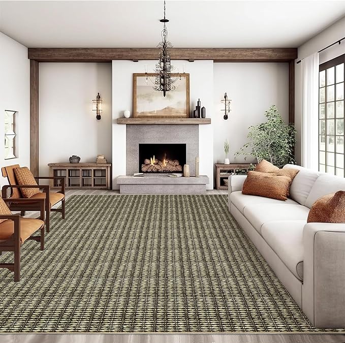 Washable 10x13 Modern Braided Print Area Rug for Living Room Low Pile Soft Bedroom Rugs Non Slip Modern Large Carpet Thin Foldable Boho Vintage Indoor Carpet for Playroom Open Living Room, Taupe