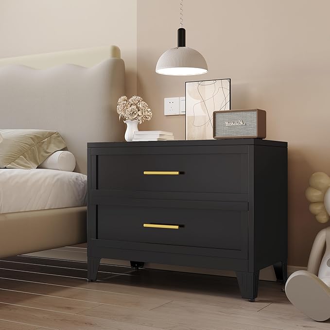 24.8" Tall Metal Dresser for Bedroom, 2 Drawer Nightstand, Side Table, Under Desk Steel Storage Drawer Cabinet, File Drawer for Home Office,Living Room, Entryway, Hallway