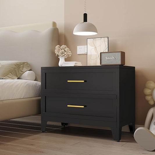 24.8" Tall Metal Dresser for Bedroom, 2 Drawer Nightstand, Side Table, Under Desk Steel Storage Drawer Cabinet, File Drawer for Home Office,Living Room, Entryway, Hallway