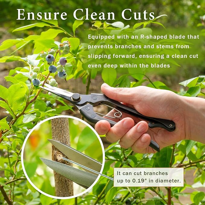 Professional Forged 8.2" Japanese Bud Cutting Pruning Shears Garden Flower Trimming Scissors Made in Japan (Double-blade)