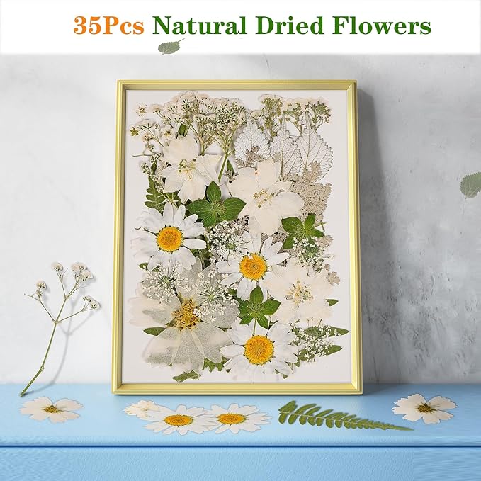 White Dried Pressed Flowers for Crafts,Real Natural Dried Flowers and Leaves for Resin Mold Scrapbooking DIY Candle Making Gifts（Modern Style）