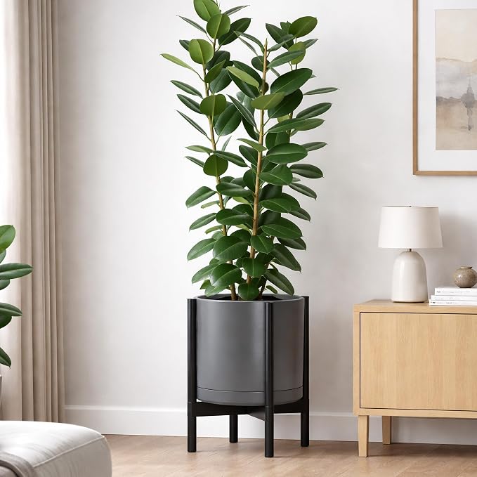 D'vine Dev Ceramic Planter with Ebony Stand - 14 Inch Modern Round Flower Pot with Wood Planter Holder, Grey, 55-B-S-3