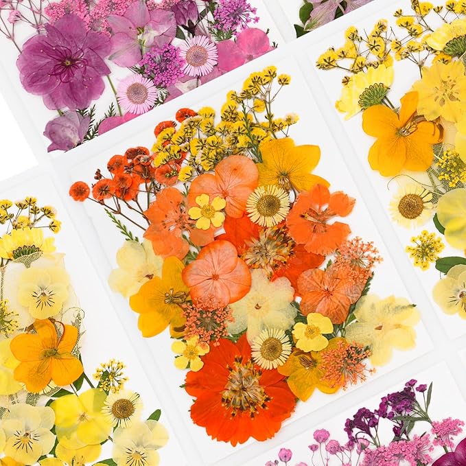 30Pcs Dried Pressed Natural Flowers for Resin Molds Real Pressed Flowers Dry Leaves Bulk Natural Herbs Kit for DIY Scrapbooking Art Crafts Jewelry Molds Candle Soap Making Nails Decor (Orange)
