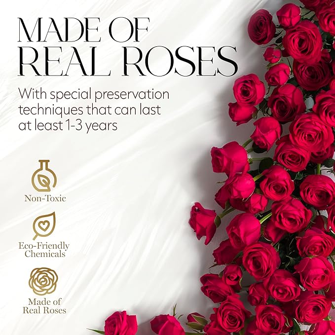 GLAMOUR BOUTIQUE Flowers Forever Gift Box 12 Real Preserved Roses in a Velvet Black Box, Birthday for Her Mom and Wife, Mothers Day, Anniversary, Graduation - Red