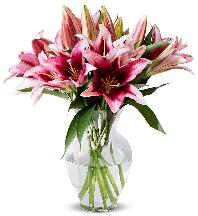 Benchmark Bouquets - 8 Stem Pink Stargazer Oriental Lilies (Glass Vase Included) - Fresh Flowers for Delivery - Gift for Graduation, Birthday, Anniversary, Sympathy, Get Well, Congratulations