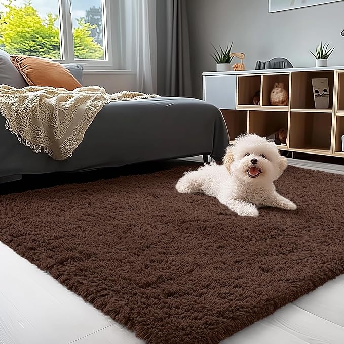 OLANLY 4x5 Machine Washable Accent Rug, Soft Fluffy Shaggy Area Rug for Bedroom, Living Room, Indoor Floor Carpet for Kids, Nursery, Home Decor, Coffee
